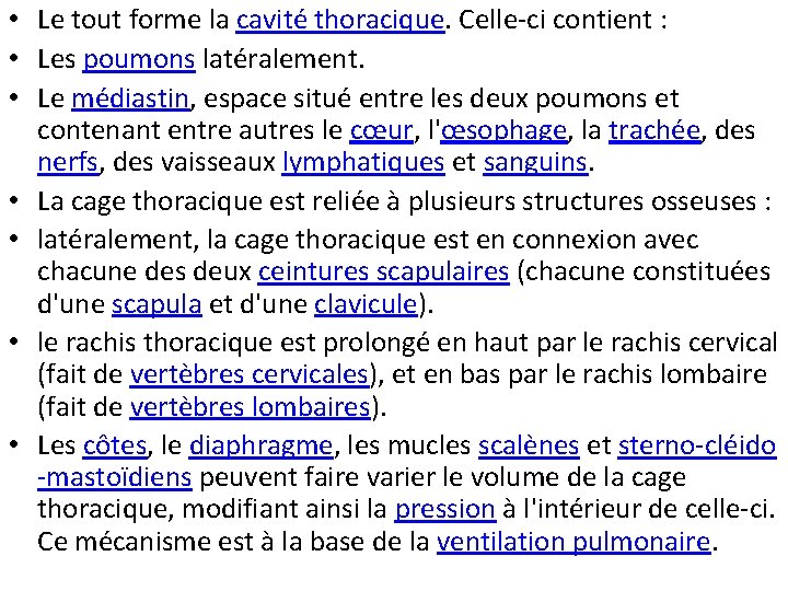  • Le tout forme la cavité thoracique. Celle-ci contient : • Les poumons