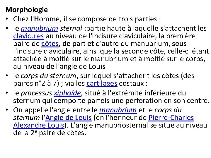 Morphologie • Chez l'Homme, il se compose de trois parties : • le manubrium