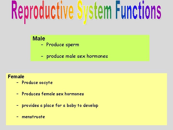 Male – Produce sperm – produce male sex hormones Female – Produce oocyte –