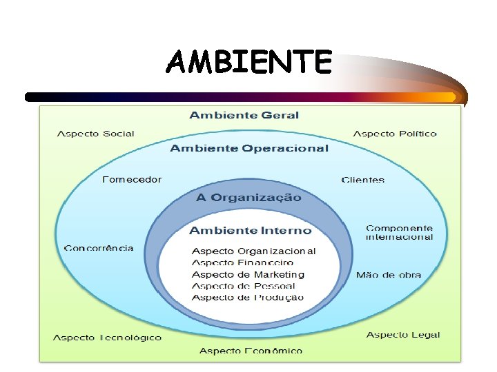 AMBIENTE 