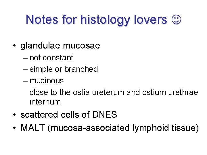 Notes for histology lovers • glandulae mucosae – not constant – simple or branched