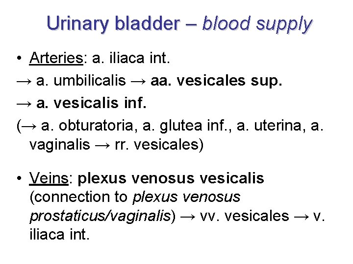 Urinary bladder – blood supply • Arteries: a. iliaca int. → a. umbilicalis →