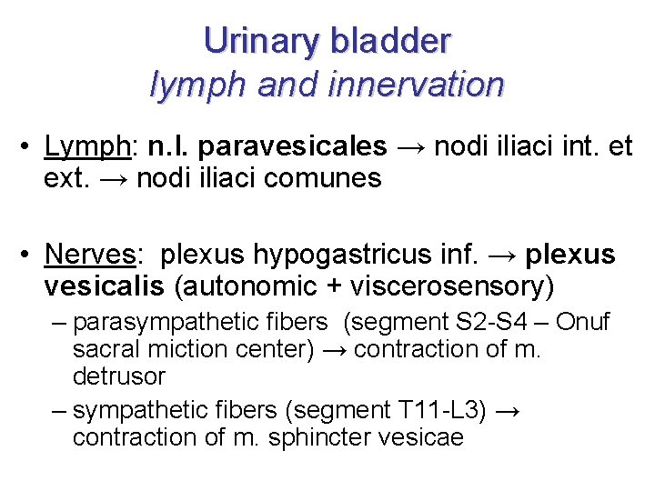Urinary bladder lymph and innervation • Lymph: n. l. paravesicales → nodi iliaci int.