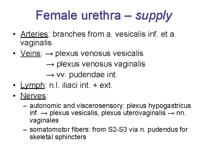 Female urethra – supply • Arteries: branches from a. vesicalis inf. et a. vaginalis