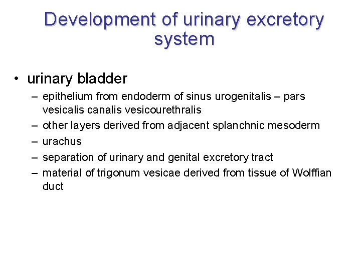 Development of urinary excretory system • urinary bladder – epithelium from endoderm of sinus