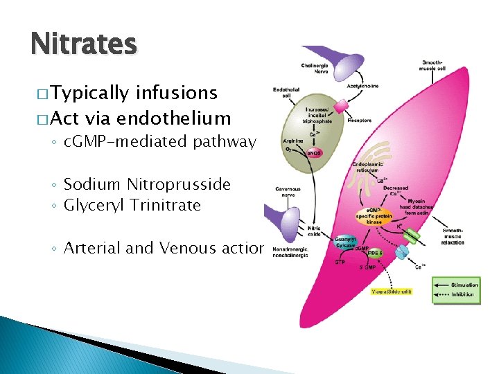 Nitrates � Typically infusions � Act via endothelium ◦ c. GMP-mediated pathway ◦ Sodium