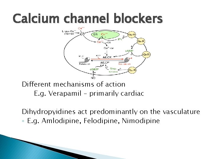 Calcium channel blockers Different mechanisms of action E. g. Verapamil – primarily cardiac Dihydropyidines