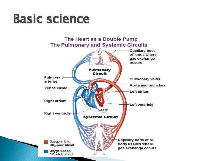 Basic science 