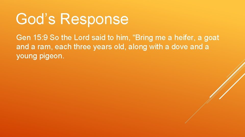 God’s Response Gen 15: 9 So the Lord said to him, “Bring me a