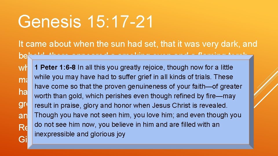 Genesis 15: 17 -21 It came about when the sun had set, that it