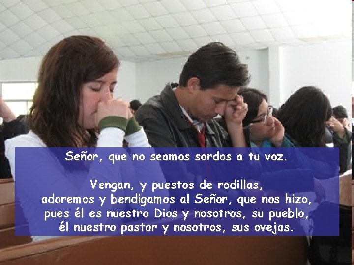 Señor, que no seamos sordos a tu voz. Vengan, y puestos de rodillas, adoremos