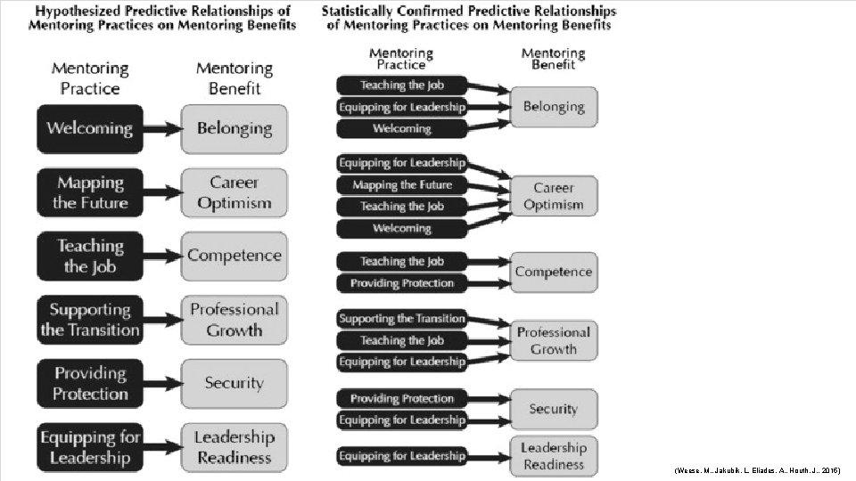 The Helene Fuld Health Trust National Institute for Evidence-based Practice (Weese, M. , Jakubik,