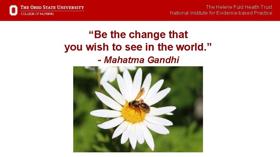 The Helene Fuld Health Trust National Institute for Evidence-based Practice “Be the change that