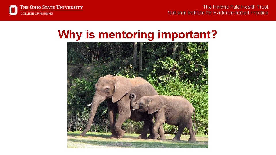 The Helene Fuld Health Trust National Institute for Evidence-based Practice Why is mentoring important?