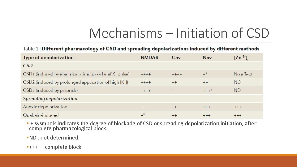 Mechanisms – Initiation of CSD • + sysmbols indicates the degree of blockade of