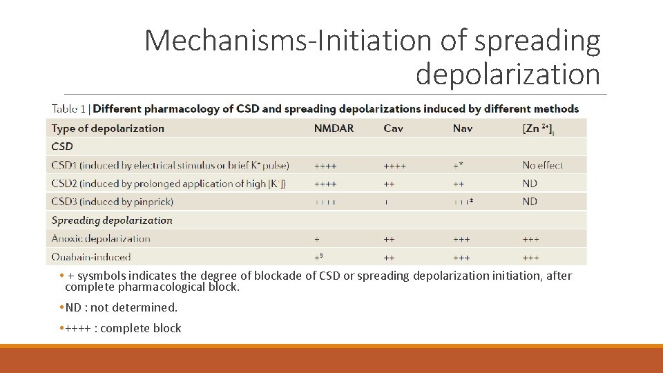 Mechanisms-Initiation of spreading depolarization • + sysmbols indicates the degree of blockade of CSD