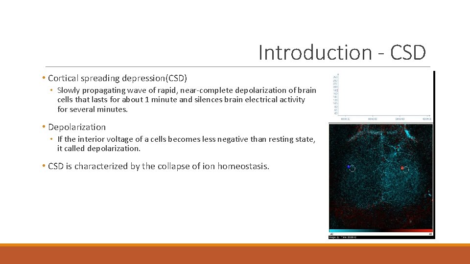 Introduction - CSD • Cortical spreading depression(CSD) • Slowly propagating wave of rapid, near-complete