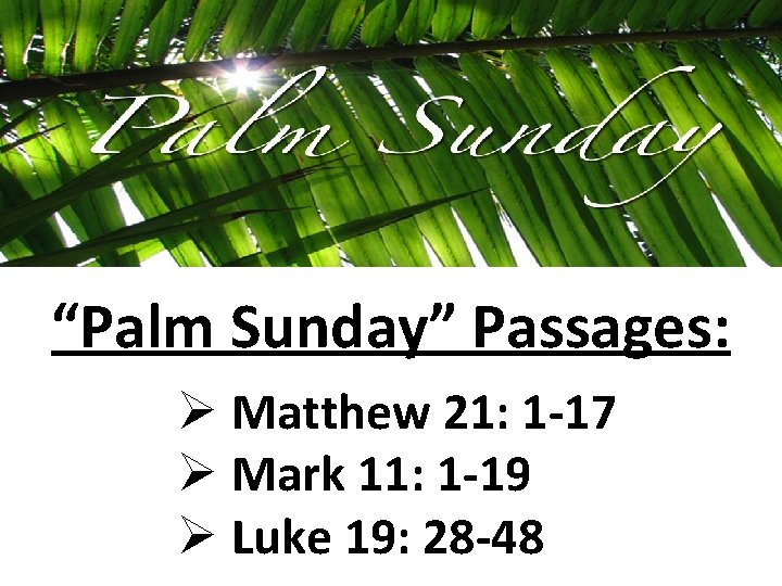 “Palm Sunday” Passages: Ø Matthew 21: 1 -17 Ø Mark 11: 1 -19 Ø