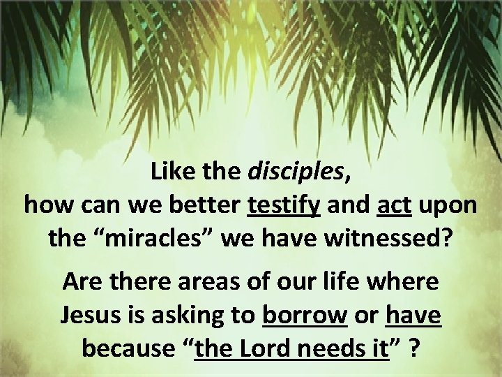 Like the disciples, how can we better testify and act upon the “miracles” we