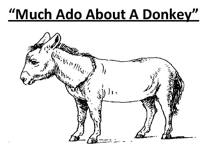 “Much Ado About A Donkey” 