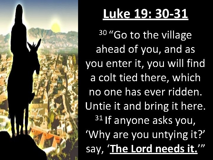 Luke 19: 30 -31 30 “Go to the village ahead of you, and as