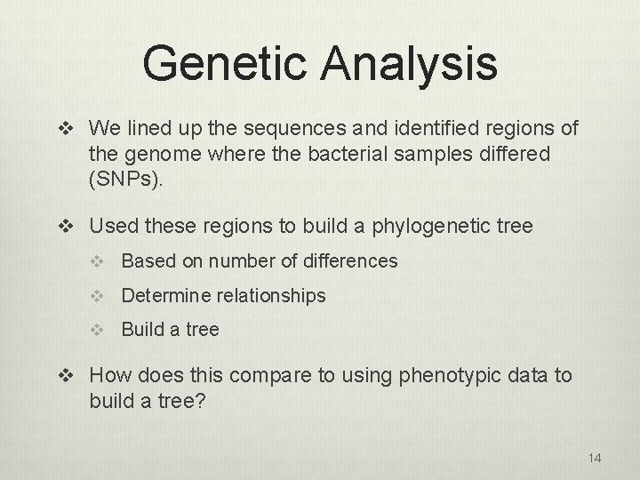 Genetic Analysis v We lined up the sequences and identified regions of the genome