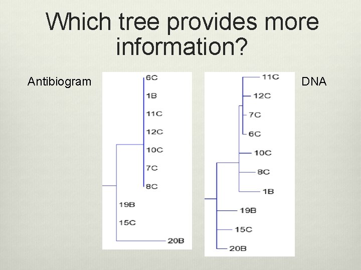 Which tree provides more information? Antibiogram DNA 