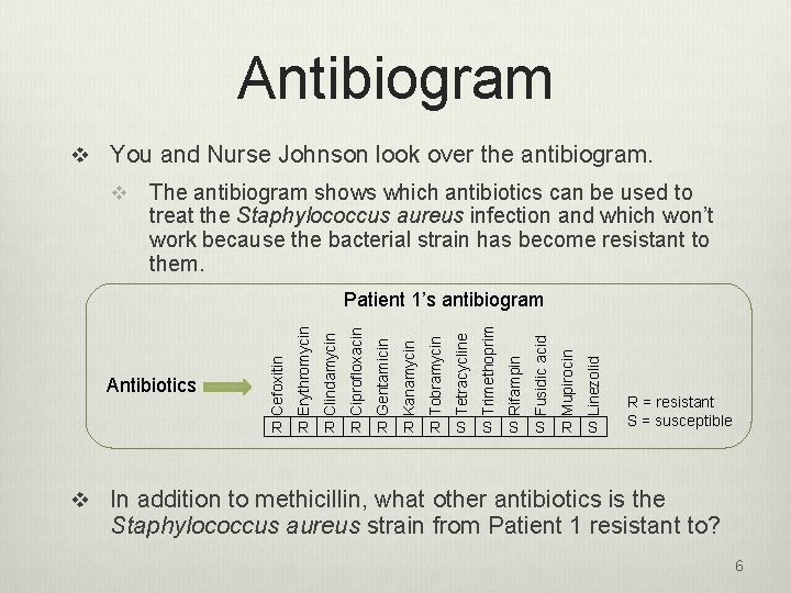 Antibiogram v You and Nurse Johnson look over the antibiogram. v The antibiogram shows