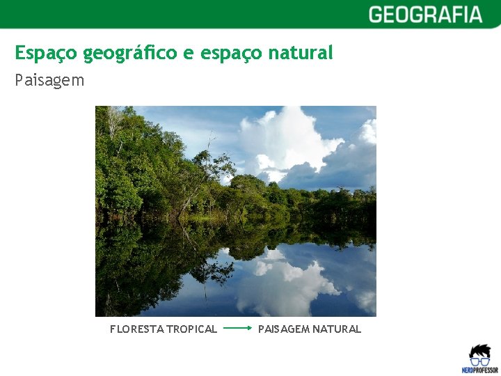 Espaço geográfico e espaço natural Paisagem FLORESTA TROPICAL PAISAGEM NATURAL 