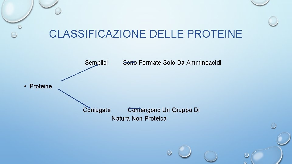 CLASSIFICAZIONE DELLE PROTEINE Semplici Sono Formate Solo Da Amminoacidi • Proteine Coniugate Contengono Un