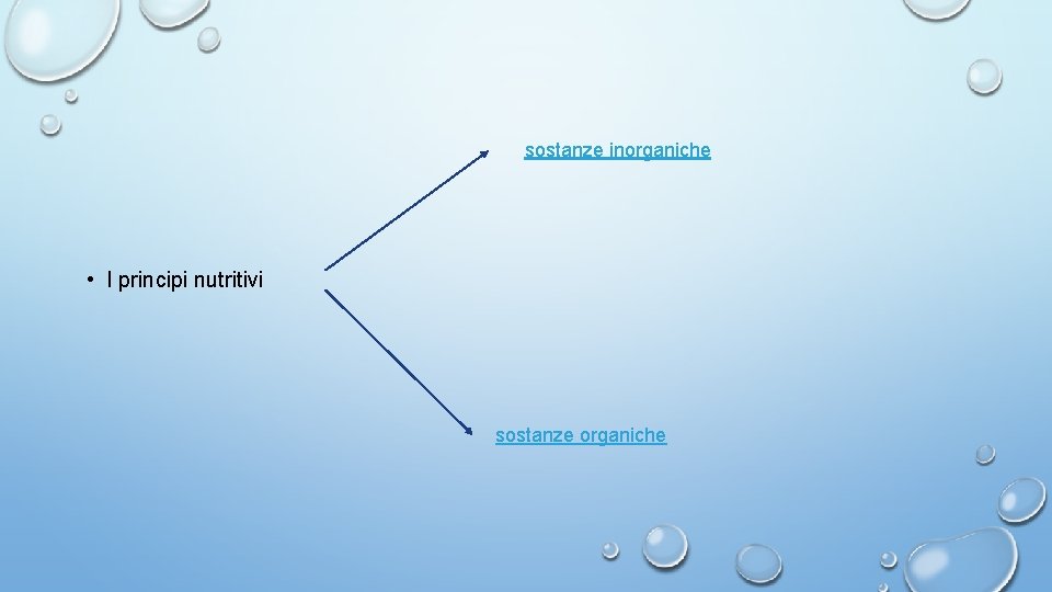 sostanze inorganiche • I principi nutritivi sostanze organiche 