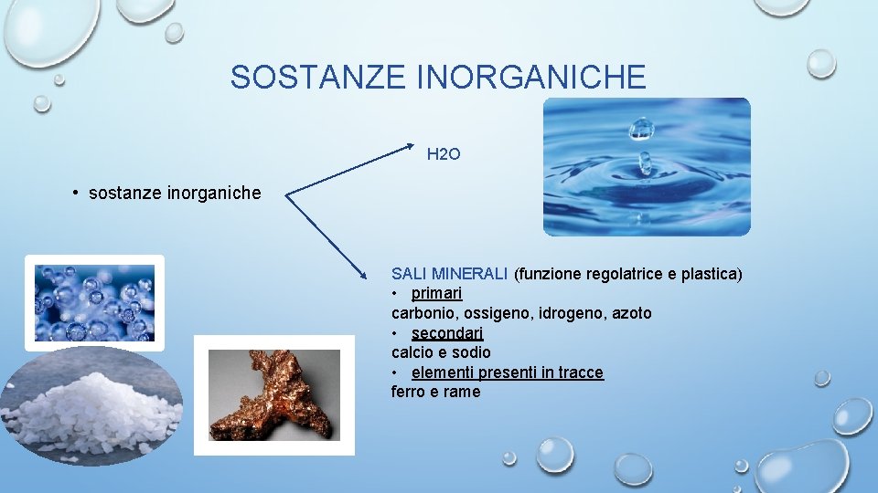 SOSTANZE INORGANICHE H 2 O • sostanze inorganiche SALI MINERALI (funzione regolatrice e plastica)