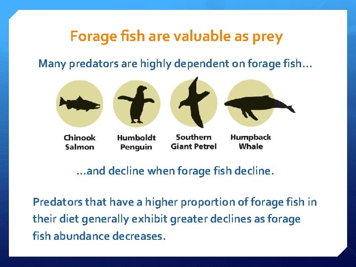 Forage fish are valuable as prey Many predators are highly dependent on forage fish. Forage fish are valuable as prey Many predators are highly dependent on forage fish.