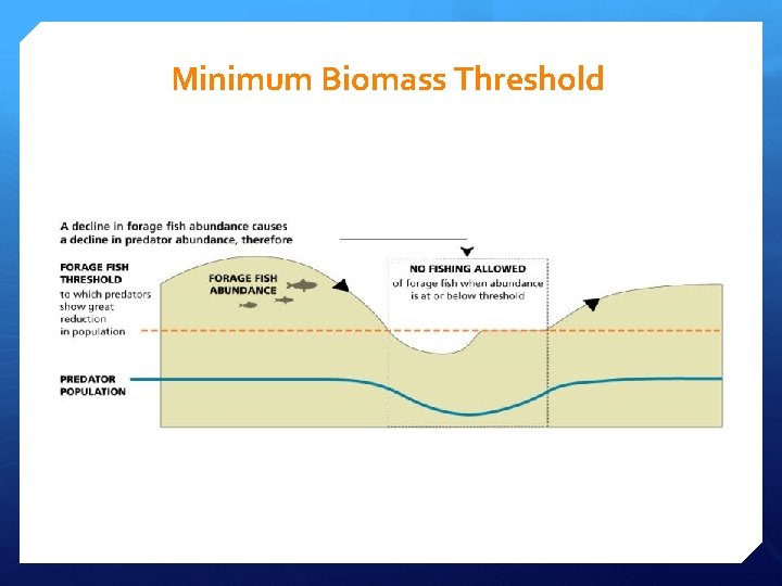 Minimum Biomass Threshold Minimum Biomass Threshold