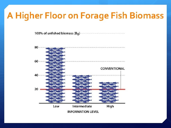 A Higher Floor on Forage Fish Biomass A Higher Floor on Forage Fish Biomass