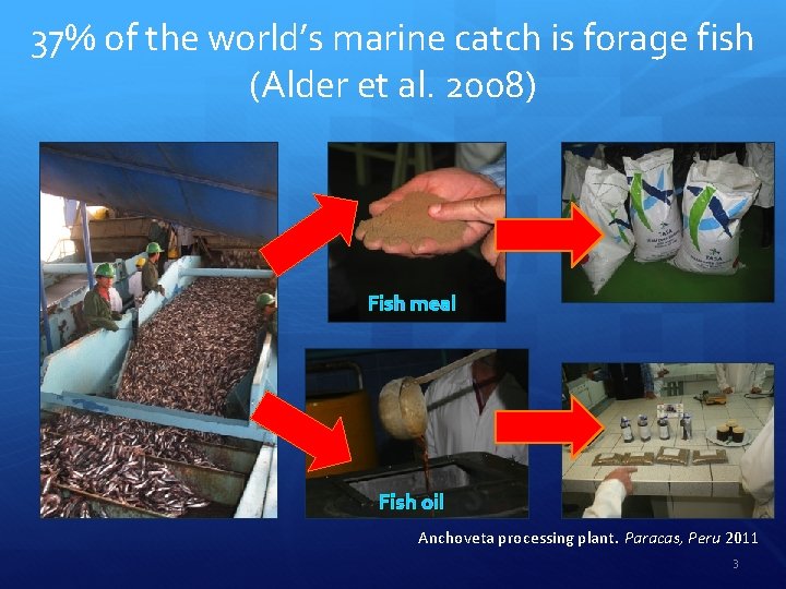 37% of the world’s marine catch is forage fish (Alder et al. 2008) Fish 37% of the world’s marine catch is forage fish (Alder et al. 2008) Fish