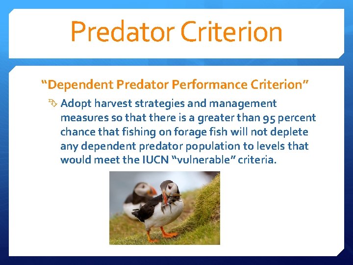 Predator Criterion “Dependent Predator Performance Criterion” Adopt harvest strategies and management measures so that Predator Criterion “Dependent Predator Performance Criterion” Adopt harvest strategies and management measures so that