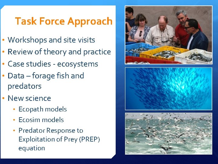 Task Force Approach • Workshops and site visits • Review of theory and practice Task Force Approach • Workshops and site visits • Review of theory and practice