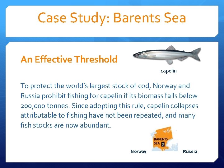 Case Study: Barents Sea An Effective Threshold capelin To protect the world’s largest stock Case Study: Barents Sea An Effective Threshold capelin To protect the world’s largest stock