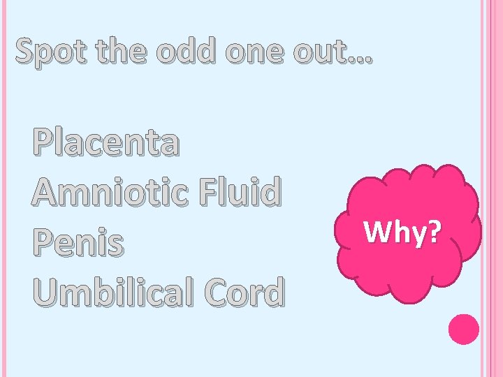 Spot the odd one out… Placenta Amniotic Fluid Penis Umbilical Cord Why? 