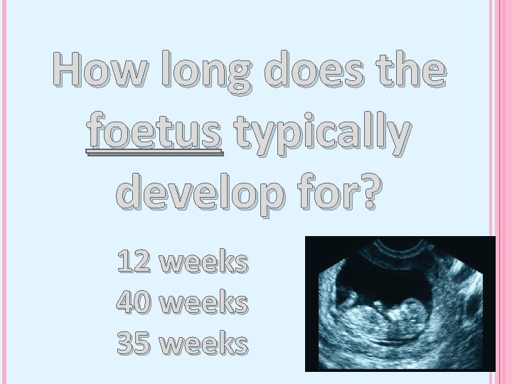How long does the foetus typically develop for? 12 weeks 40 weeks 35 weeks