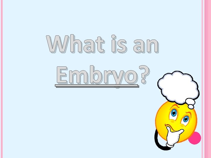 What is an Embryo? 