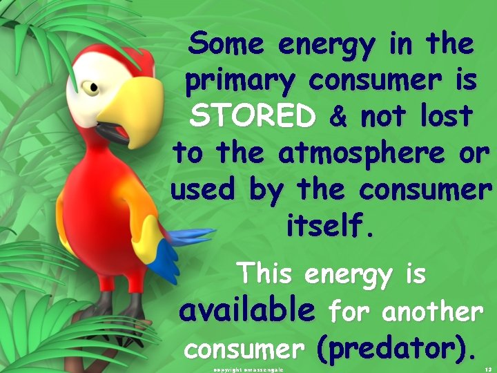 Some energy in the primary consumer is STORED & not lost to the atmosphere Some energy in the primary consumer is STORED & not lost to the atmosphere