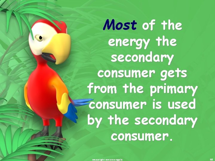 Most of the energy the secondary consumer gets from the primary consumer is used Most of the energy the secondary consumer gets from the primary consumer is used