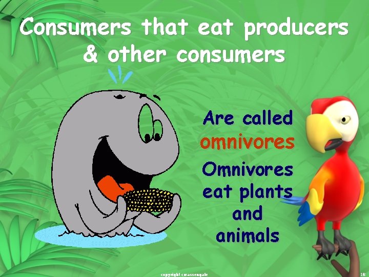 Consumers that eat producers & other consumers Are called omnivores Omnivores eat plants and Consumers that eat producers & other consumers Are called omnivores Omnivores eat plants and