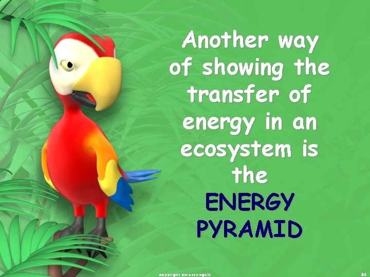 Another way of showing the transfer of energy in an ecosystem is the ENERGY Another way of showing the transfer of energy in an ecosystem is the ENERGY