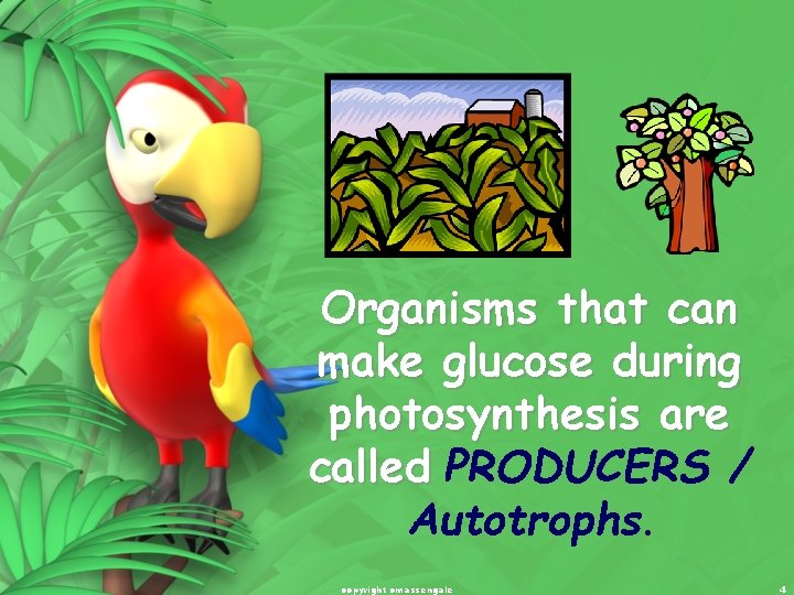 Organisms that can make glucose during photosynthesis are called PRODUCERS / Autotrophs. copyright cmassengale Organisms that can make glucose during photosynthesis are called PRODUCERS / Autotrophs. copyright cmassengale
