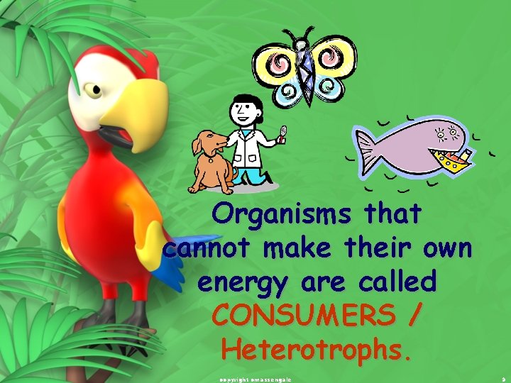 Organisms that cannot make their own energy are called CONSUMERS / Heterotrophs. copyright cmassengale Organisms that cannot make their own energy are called CONSUMERS / Heterotrophs. copyright cmassengale