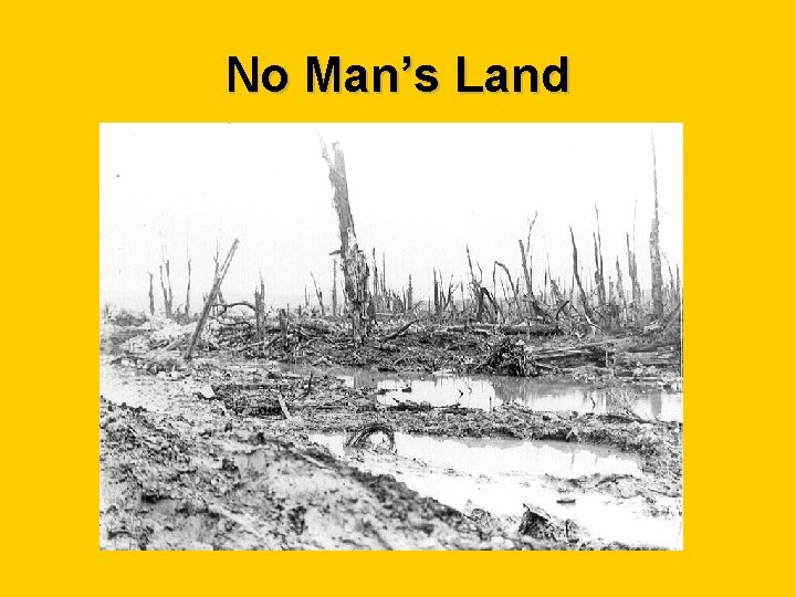 No Man’s Land 