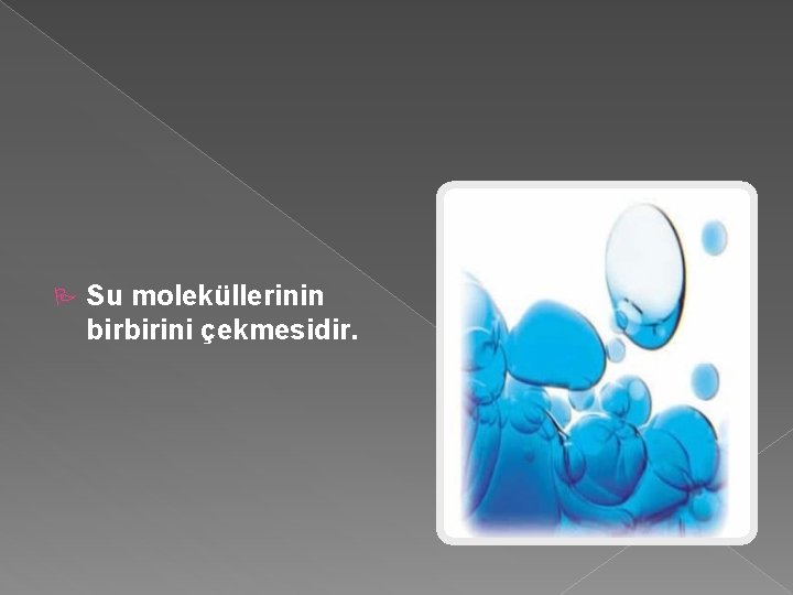  Su moleküllerinin birbirini çekmesidir. 